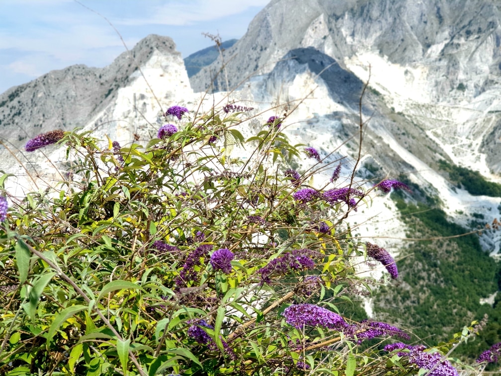 Carrara - Alpi Apuane