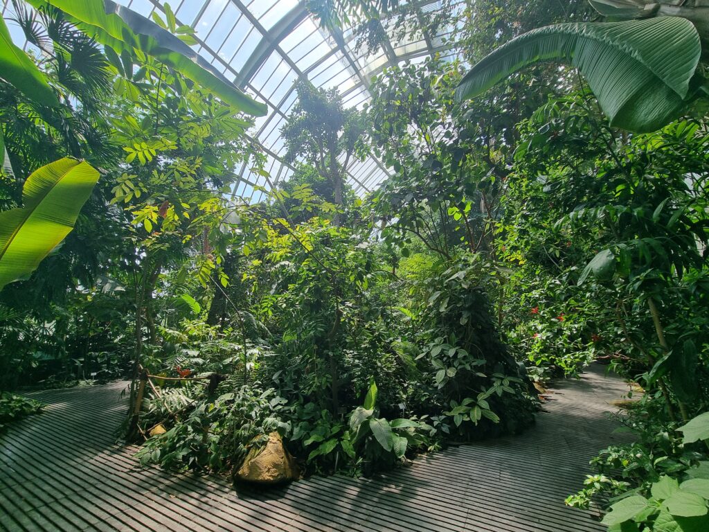 La foresta tropicale nella Grande Serra del Jardin des Plantes