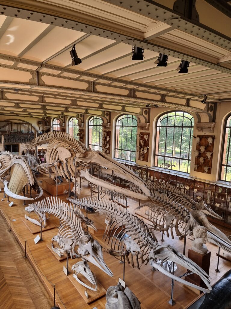 La Galleria dell'Evoluzione al Jardin des Plantes